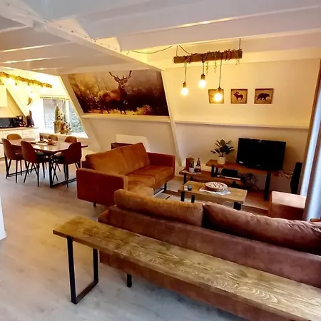 Domek alpejski De Bosdriehoek Ii