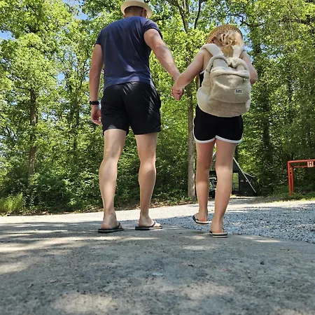 Domek alpejski De Bosdriehoek Ii