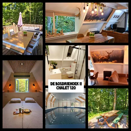 De Bosdriehoek Ii 木屋 *