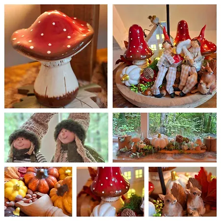 Domek alpejski De Bosdriehoek Ii