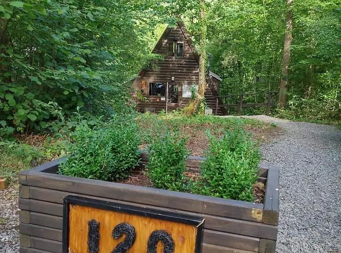 De Bosdriehoek Ii Chalet