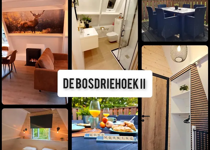 De Bosdriehoek Ii Chalet