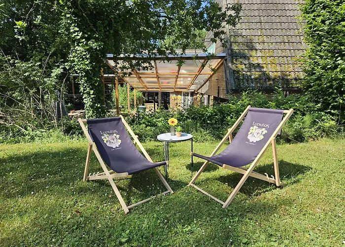 Chalet De Bosdriehoek Ii *