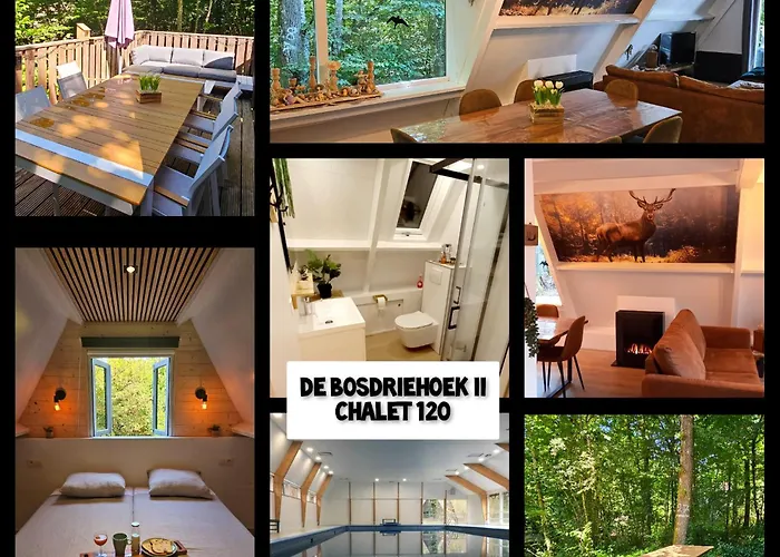 De Bosdriehoek Ii Chalet *